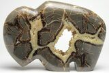Calcite Crystal Filled, Polished Septarian Bison - Utah #207769-1